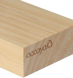 Accoya
