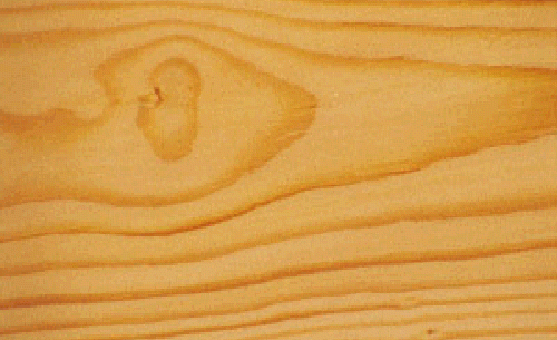 Timber windows and doors by Patchett Joinery