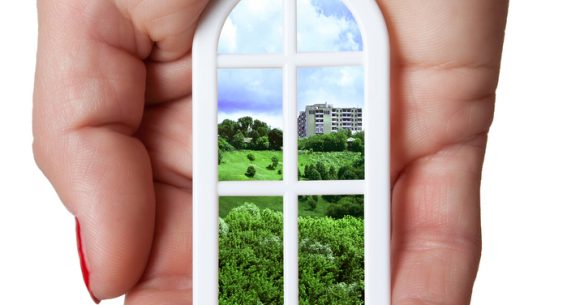 Timber windows and doors by Patchett Joinery