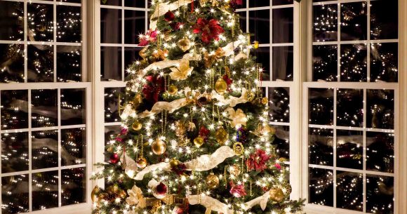 Timber windows and doors by Patchett Joinery