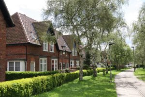 Sash Windows Suppliers Harrogate