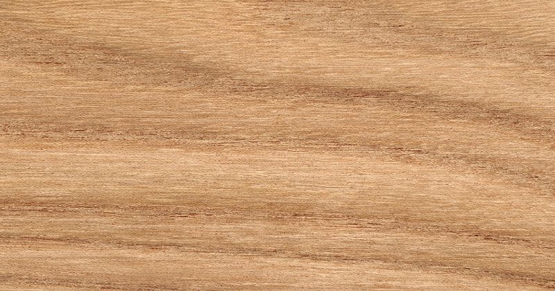 Black/Honey Locust Timber Wood Texture.