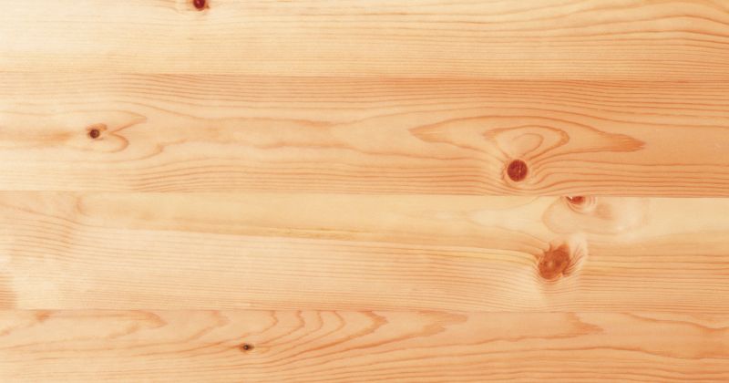 Cypress Timber Wood Texture.