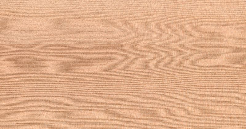 Douglas-Fir Timber Wood Texture.