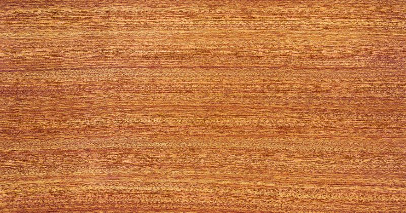 Redwood Timber Wood Texture.