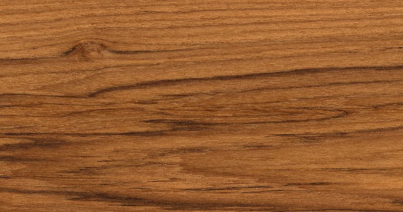 Teak Timber Wood Texture.